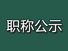 2023年盐城市轻工纺织、船舶与海洋、电子信息工程师和工艺美术师中级职称评审结果公示